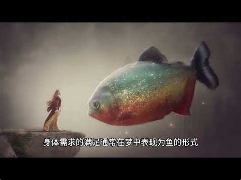 夢見撈小魚